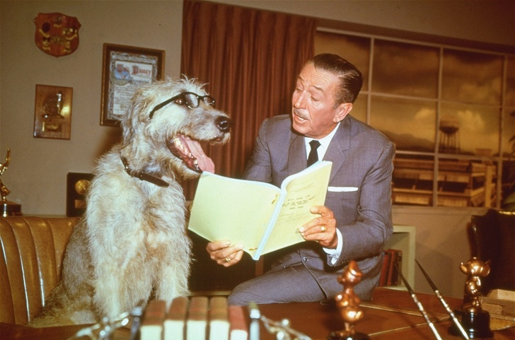 20+ фактів про Уолта Діснея – людину, яку не зупиняло слово «ні» (Йому відмовляли 302 рази)