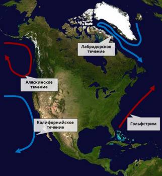 Клімат північної Америки - в яких поясах лежить Північна Америка