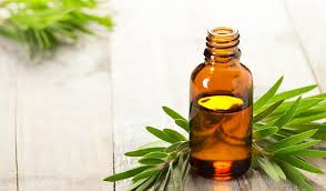 Олії - Як ефірні та рослинні олії можуть лікувати екзему?