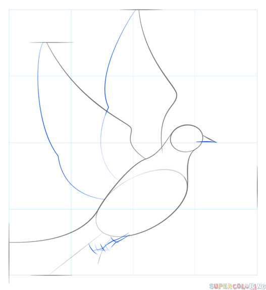Як намалювати голуба - малюємо голуба поетапно різними способами