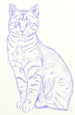 Як намалювати кота - Леді Баг і Супер Кот поетапові кроки малювання