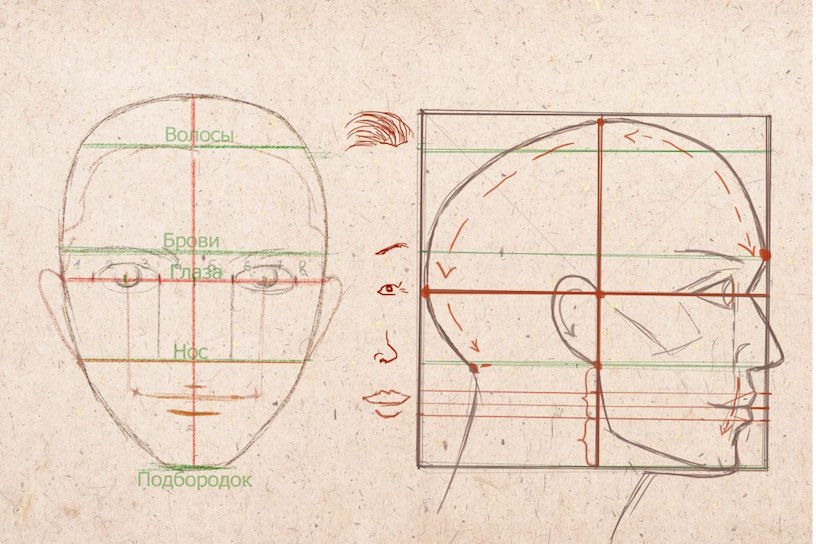 Як намалювати лице людини - малюємо лице різними способами