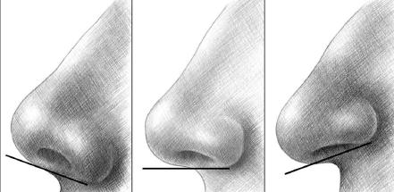 Як намалювати ніс - різні способи малювання носа в профіль і анфас