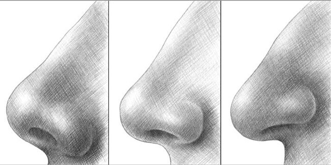 Як намалювати ніс - різні способи малювання носа в профіль і анфас