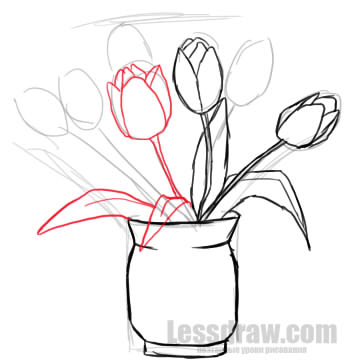 Як намалювати тюльпан - Q&A - У вас питання? - У нас відповідь!