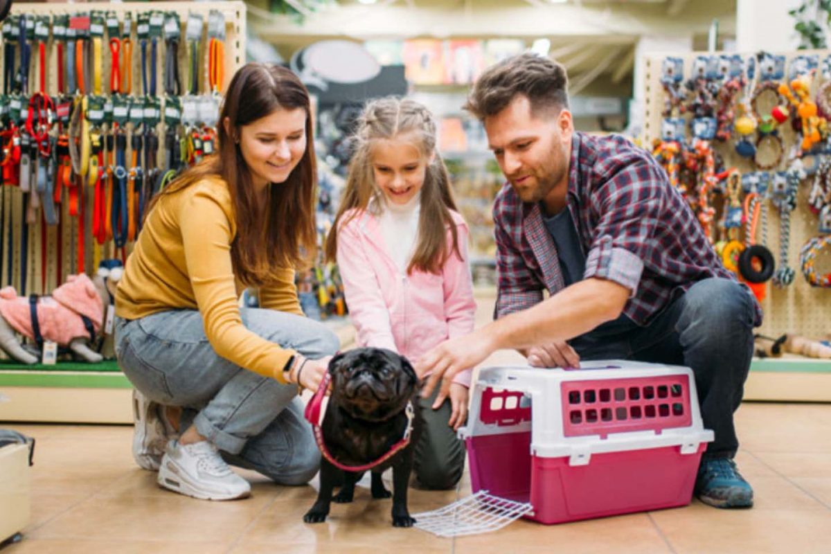 Как выбрать лучший зоомагазин в Одессе: гид для заботливых владельцев