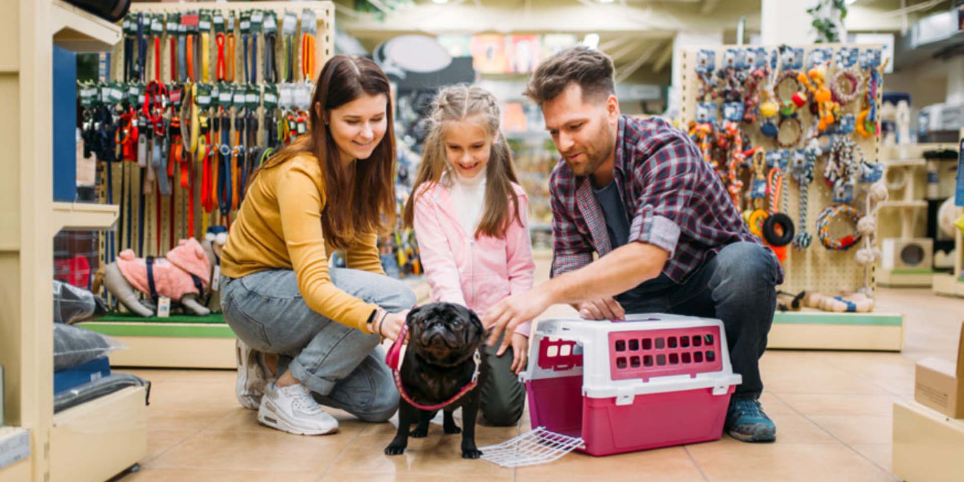 Как выбрать лучший зоомагазин в Одессе: гид для заботливых владельцев