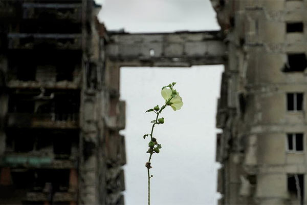 Звіт про руйнування завдані воєнними діями: найкращі причини звернутися до профі