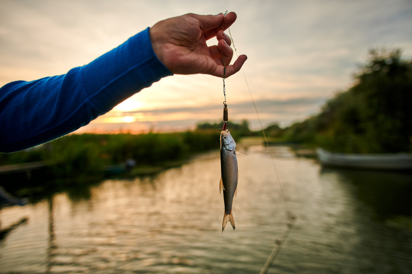 Насколько важно выбрать хорошие спиннинги и безынерционные катушки